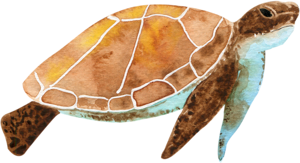 Watercolor Sea Turtle