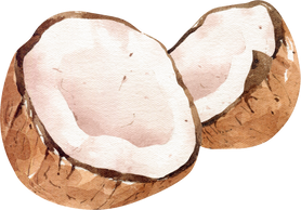 Watercolor Coconut Fruit