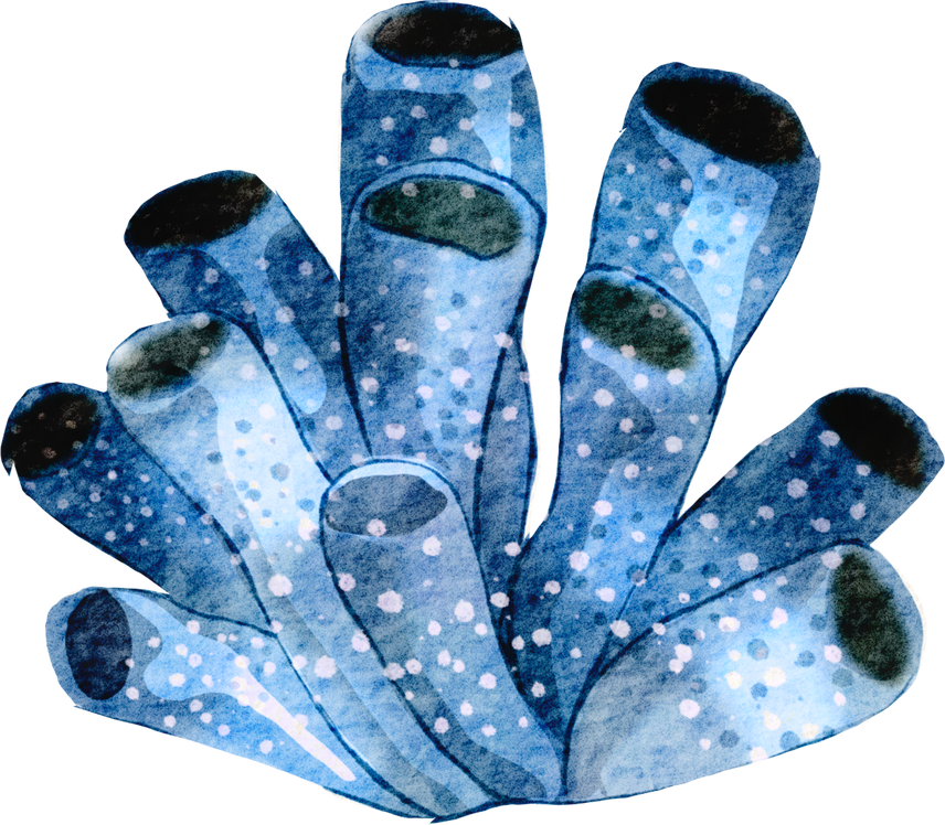 Hand Painted Watercolor of Corals , under Ocean Life